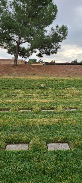 Flower delivery for Darleene Jean Sitter