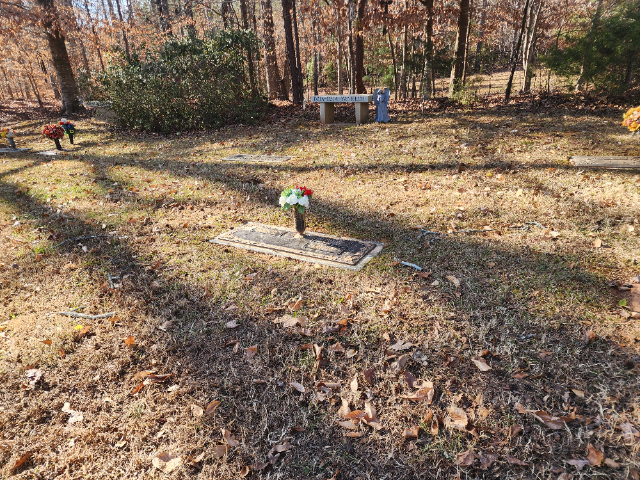 Flower delivery for Terry Fay Casto