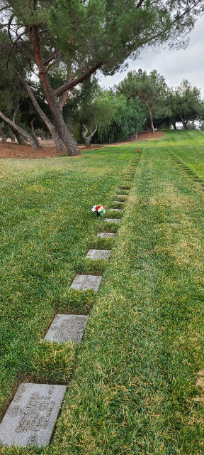 Flower delivery for Darleene Jean Sitter