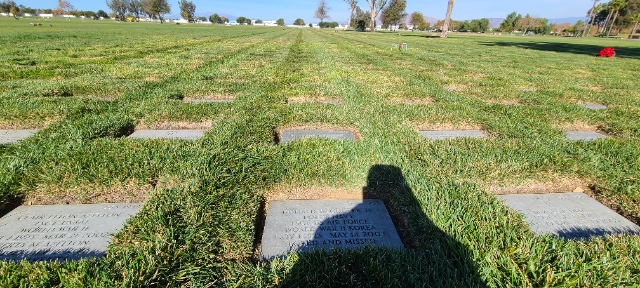 Flower delivery for Donald W Cooper