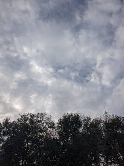 Flower delivery for Edgar Lawrence Phillips