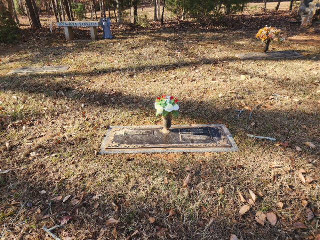 Flower delivery for Terry Fay Casto