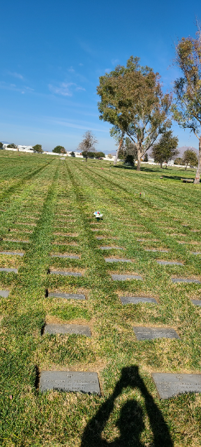 Flower delivery for Donald W Cooper