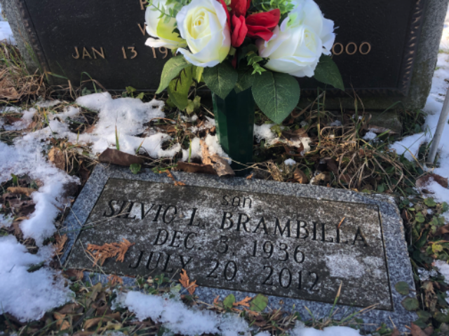 Flower delivery for Silvio Lewis Brambilla