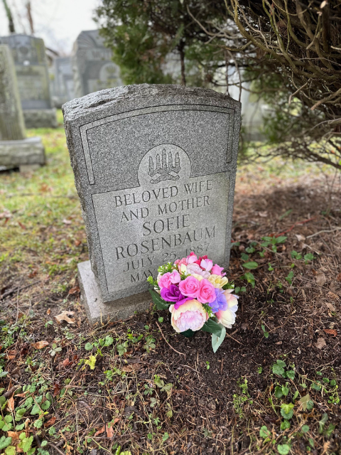 Flower delivery for Sofie Rosenbaum