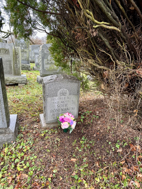 Flower delivery for Sofie Rosenbaum