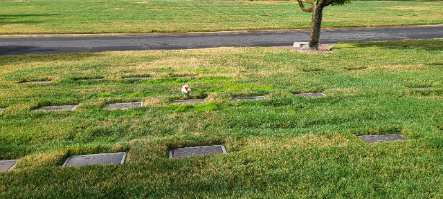 Flower delivery for Gene Elaine Hackworth