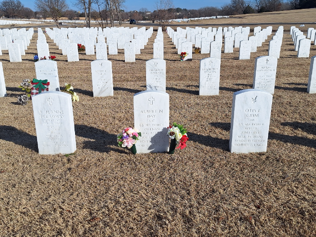 Flower delivery for Albert Newell Day