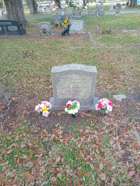 Flower delivery for Sonia Ludgero Da Silva