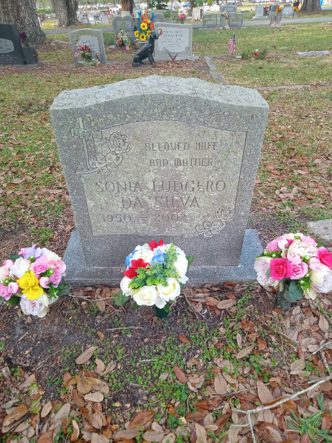 Flower delivery for Sonia Ludgero Da Silva