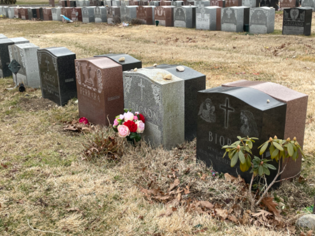 Flower delivery for Lauren j Gresham