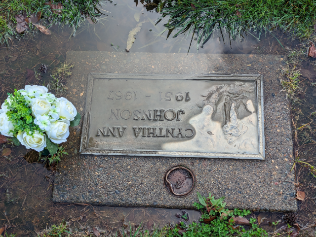 Flower delivery for Cynthia Ann Johnson