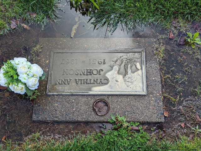 Flower delivery for Cynthia Ann Johnson