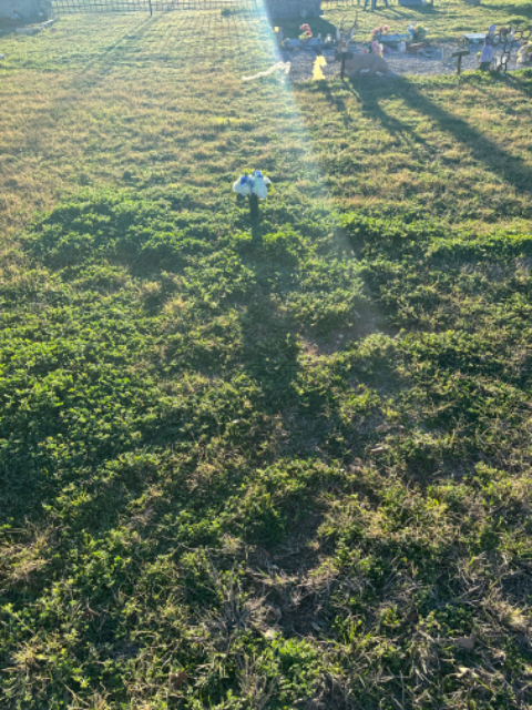 Flower delivery for La Wanda Jean Wood