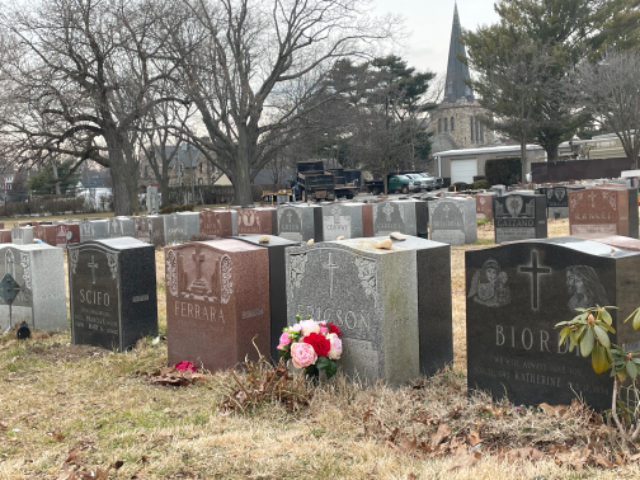Flower delivery for Lauren j Gresham