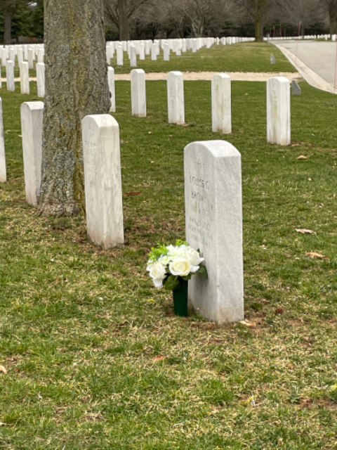 Flower delivery for Louise G Brown