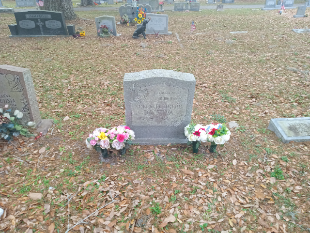 Flower delivery for Sonia Ludgero Da Silva