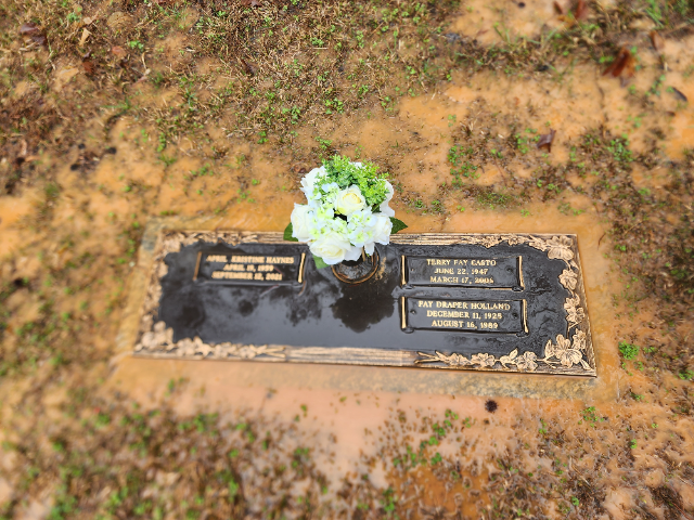 Flower delivery for Terry Fay Casto