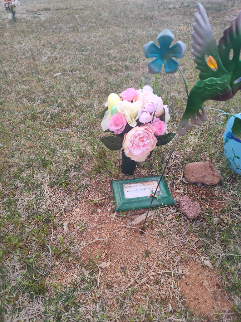 Flower delivery for Rebecca Schelhaas