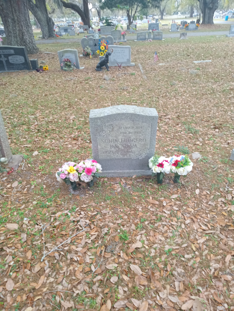 Flower delivery for Sonia Ludgero Da Silva