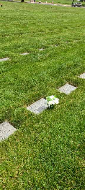 Flower delivery for Darleene Jean Sitter