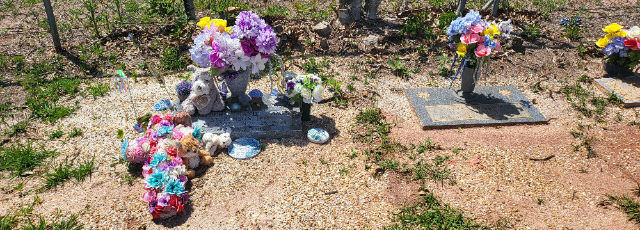 Flower delivery for Christopher Daniel James Stefanson