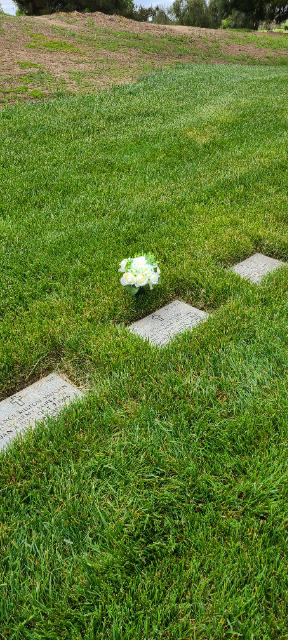 Flower delivery for Darleene Jean Sitter