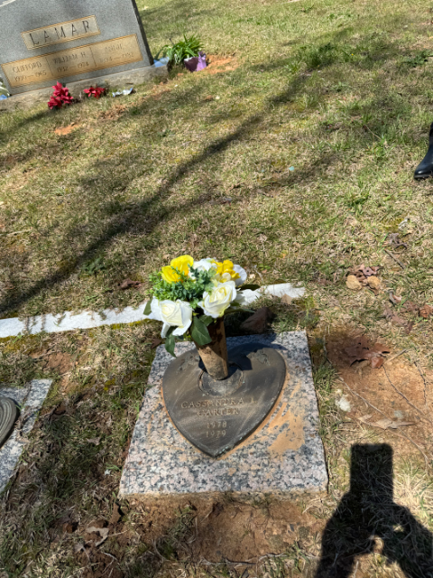 Flower delivery for Cassandra L Carter