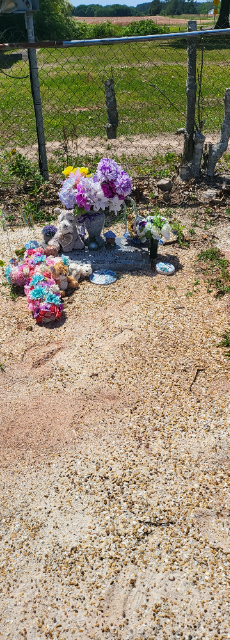 Flower delivery for Christopher Daniel James Stefanson