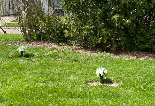 Flower delivery for Mike Polinsky