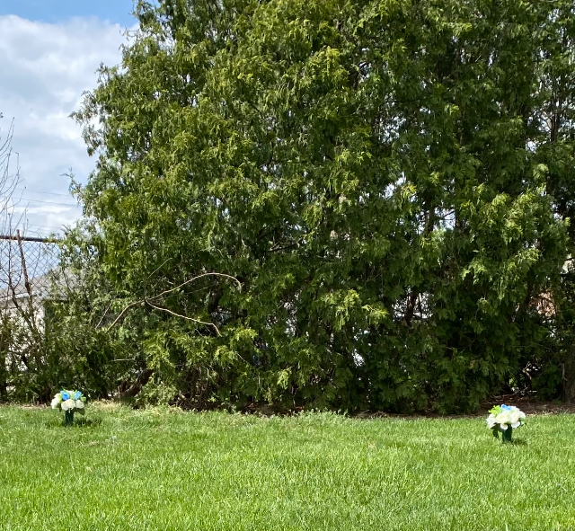 Flower delivery for Robert Charles LeVeque