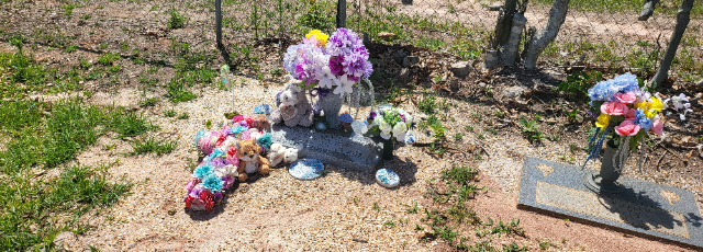 Flower delivery for Christopher Daniel James Stefanson