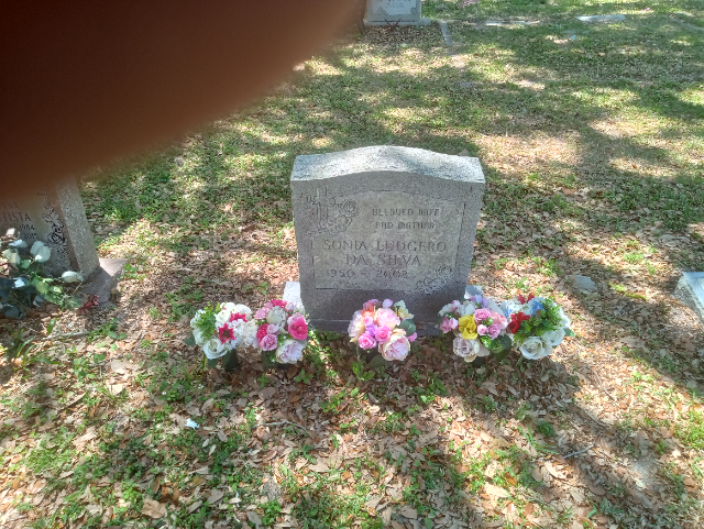 Flower delivery for Sonia Ludgero Da Silva