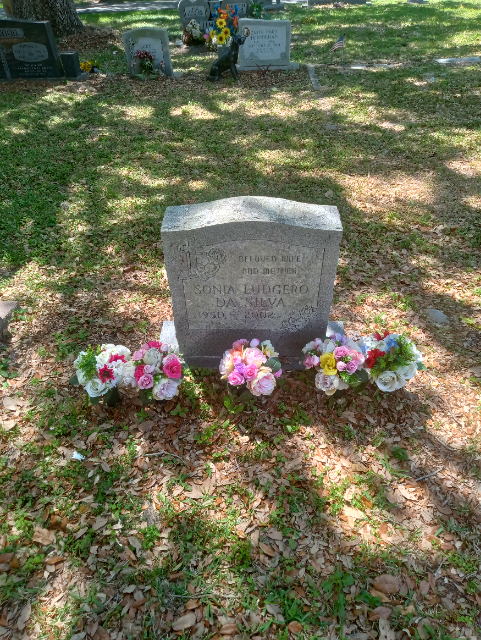 Flower delivery for Sonia Ludgero Da Silva