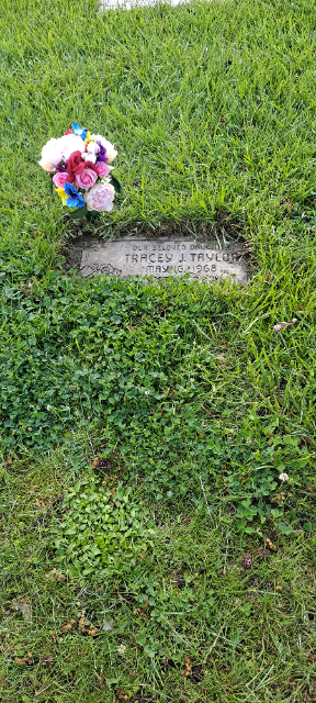 Flower delivery for Tracey J Taylor