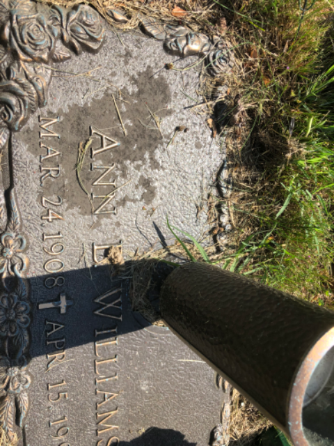 Flower delivery for Mary Feeney