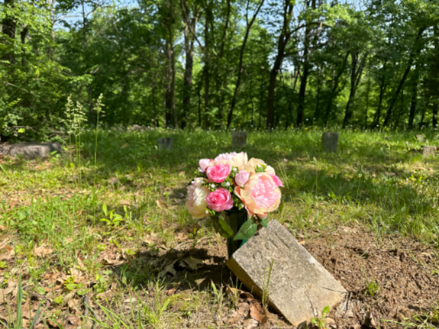 Flower delivery for Caroline Essler