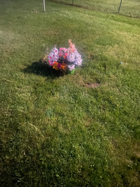 Flower delivery for Susan McCorristin