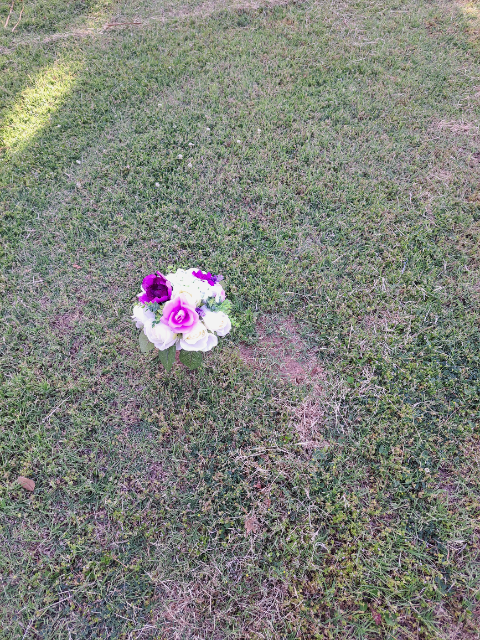 Flower delivery for Christopher Robin Montoya