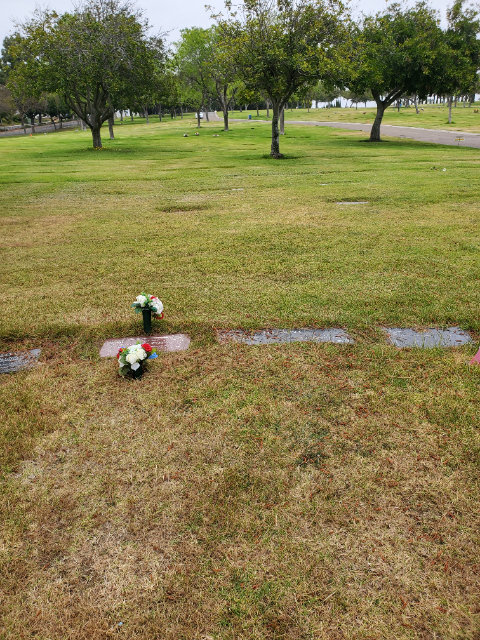 Flower delivery for Betty Joe Pippins
