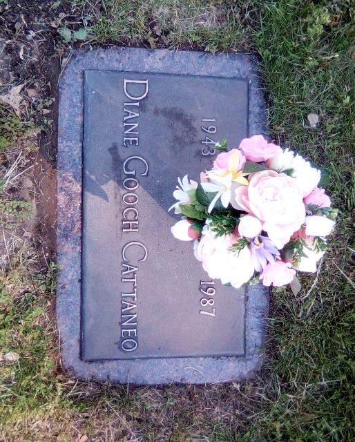 Flower delivery for Diane Cattaneo