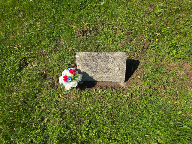 Flower delivery for Donald Campbell