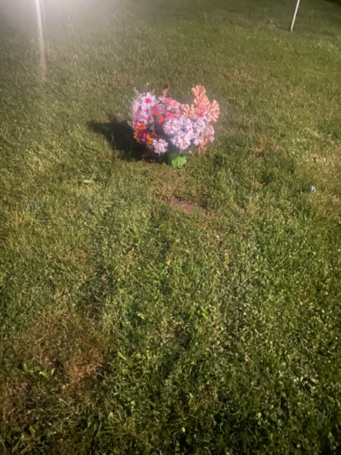 Flower delivery for Susan McCorristin