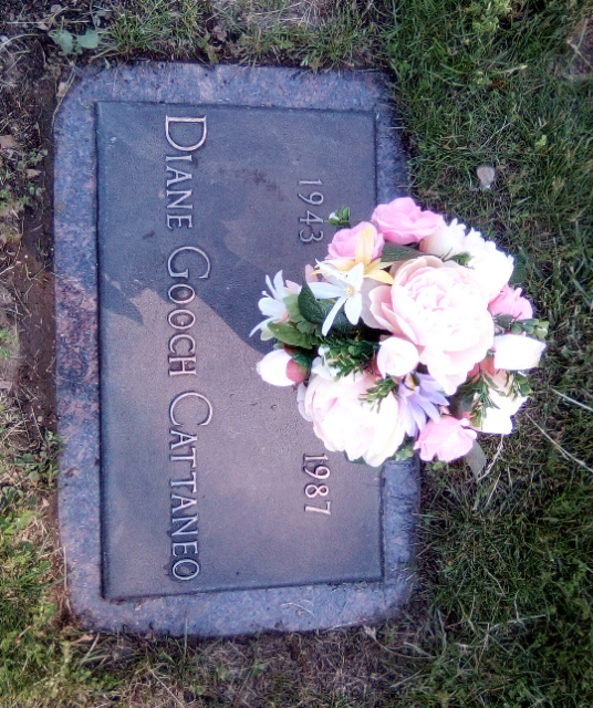 Flower delivery for Diane Cattaneo