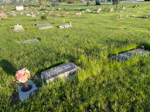 Flower delivery for Kerste Johnson