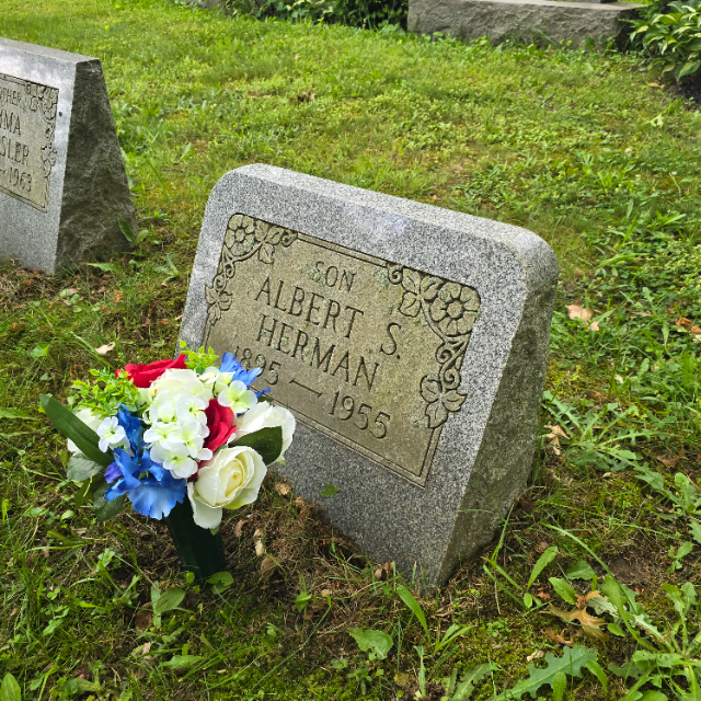 Flower delivery for Albert S Herman