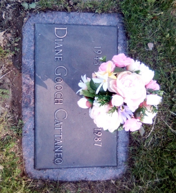 Flower delivery for Diane Cattaneo