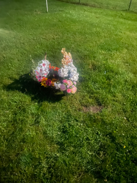 Flower delivery for Susan McCorristin