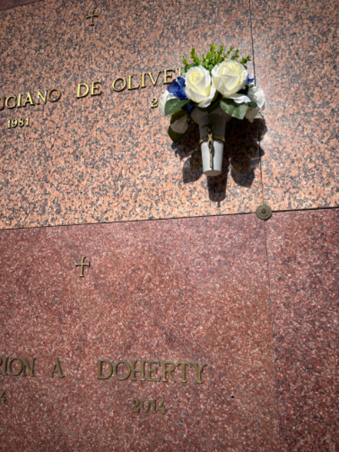 Flower delivery for Luciano De Oliveira