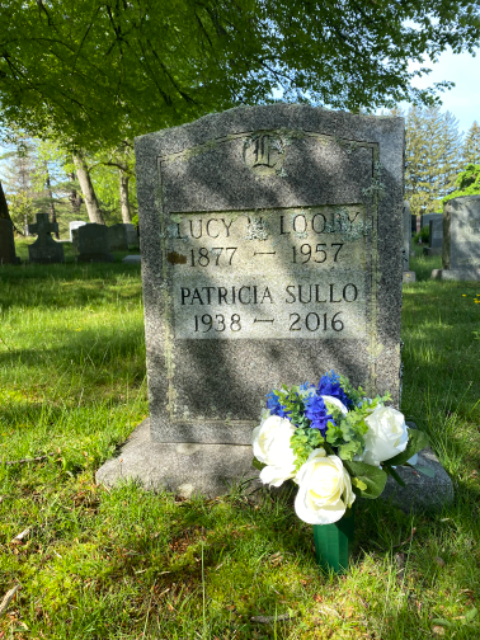 Flower delivery for Patricia Shields Sullo